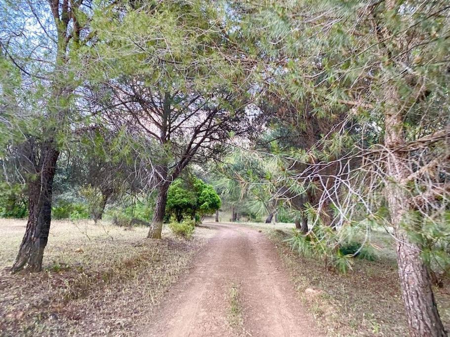Finca La Alcolehuela En Parque Natural De Despenaperros Santa Elena Dış mekan fotoğraf