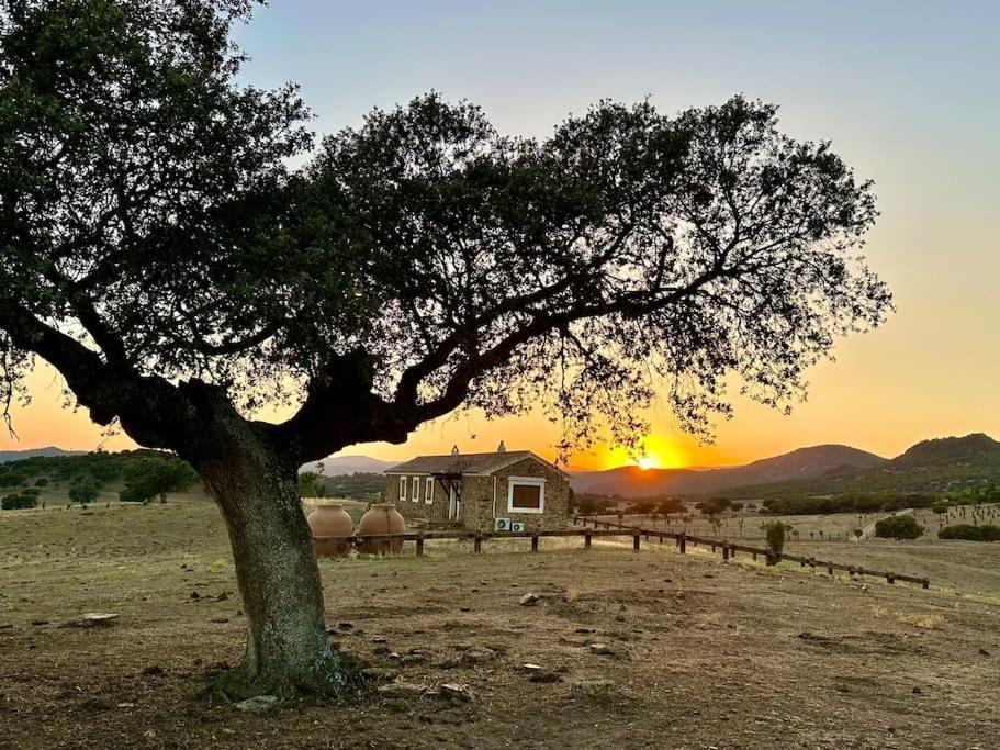 Finca La Alcolehuela En Parque Natural De Despenaperros Santa Elena Dış mekan fotoğraf