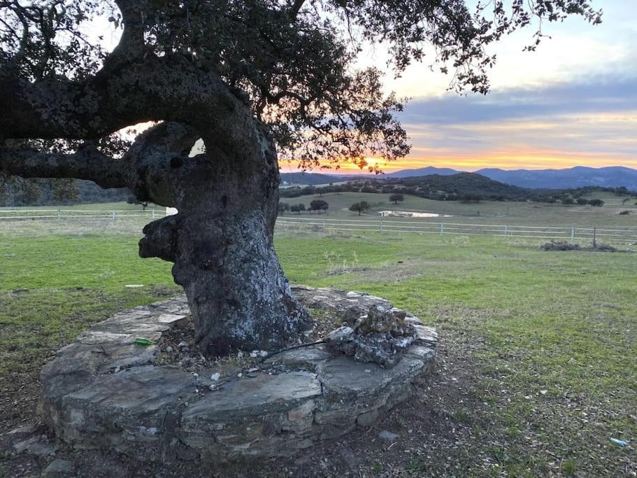 Finca La Alcolehuela En Parque Natural De Despenaperros Santa Elena Dış mekan fotoğraf