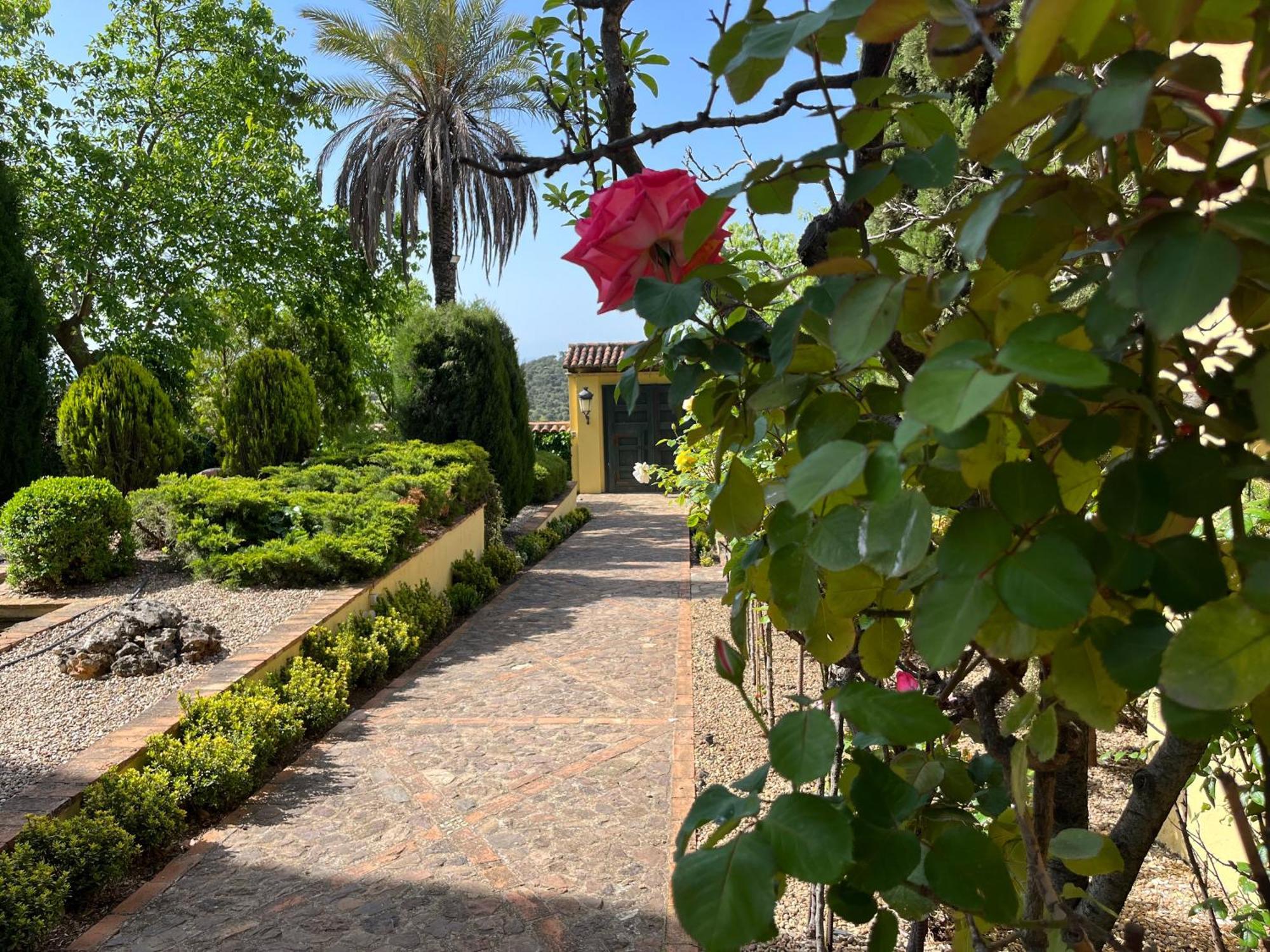 Finca La Alcolehuela En Parque Natural De Despenaperros Santa Elena Dış mekan fotoğraf